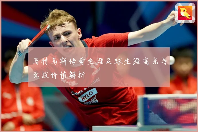 马特乌斯传奇生涯足球生涯高光与竞技价值解析