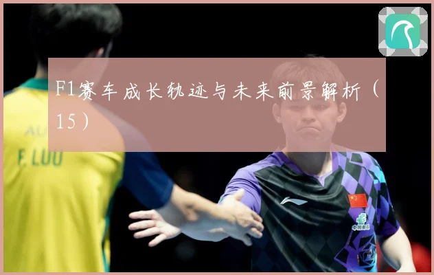 F1赛车成长轨迹与未来前景解析（15）