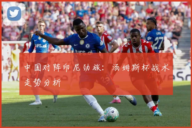 中国对阵印尼劲旅:汤姆斯杯战术走势分析