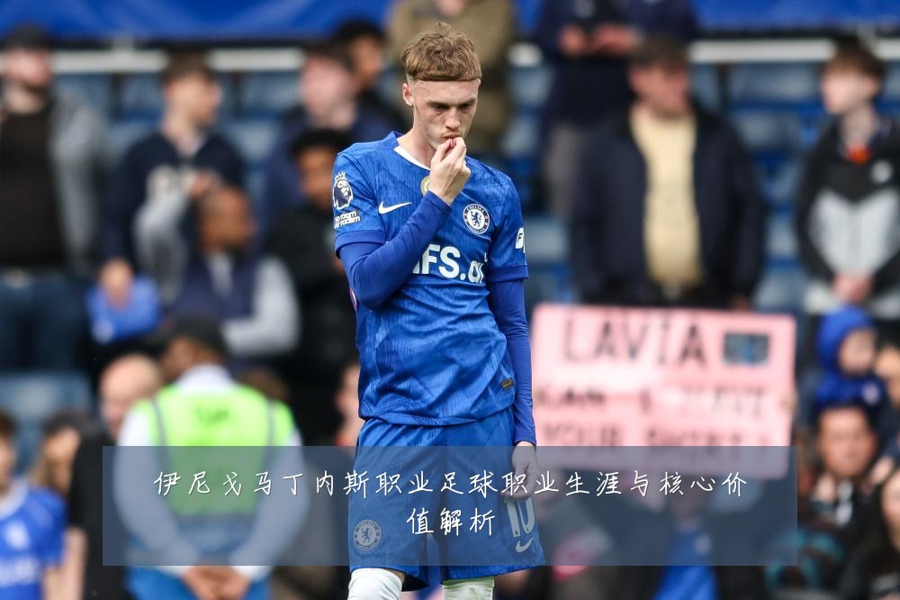 伊尼戈马丁内斯职业足球职业生涯与核心价值解析